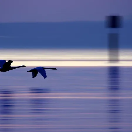 Apartmán Am Mantelhafen Typ 1